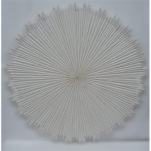 Product Code: 2952