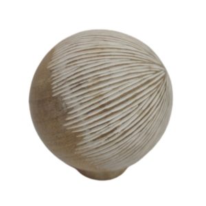 Product Code: 2967